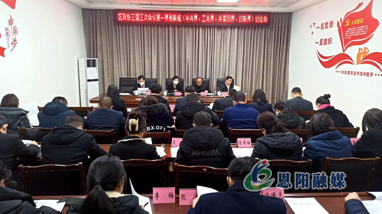 【关注“两会”】区政协三届三次会议进行分组讨论