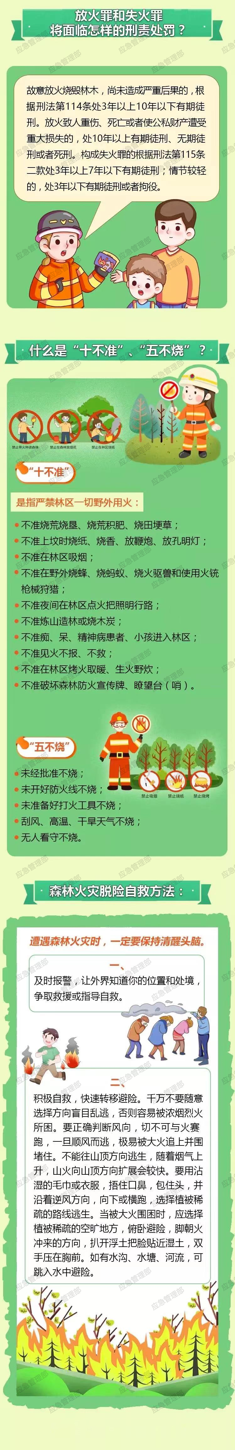 森林防火不可大意！这些必备知识要牢记