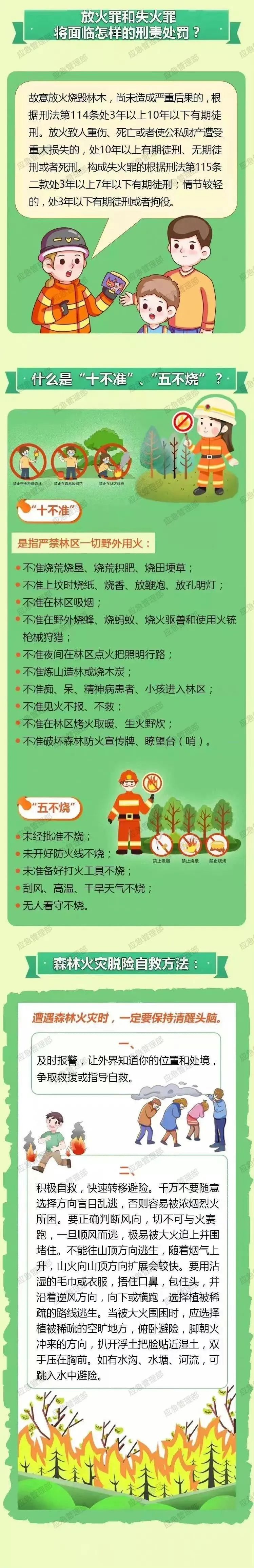 注意！引发森林火灾将承担法律责任