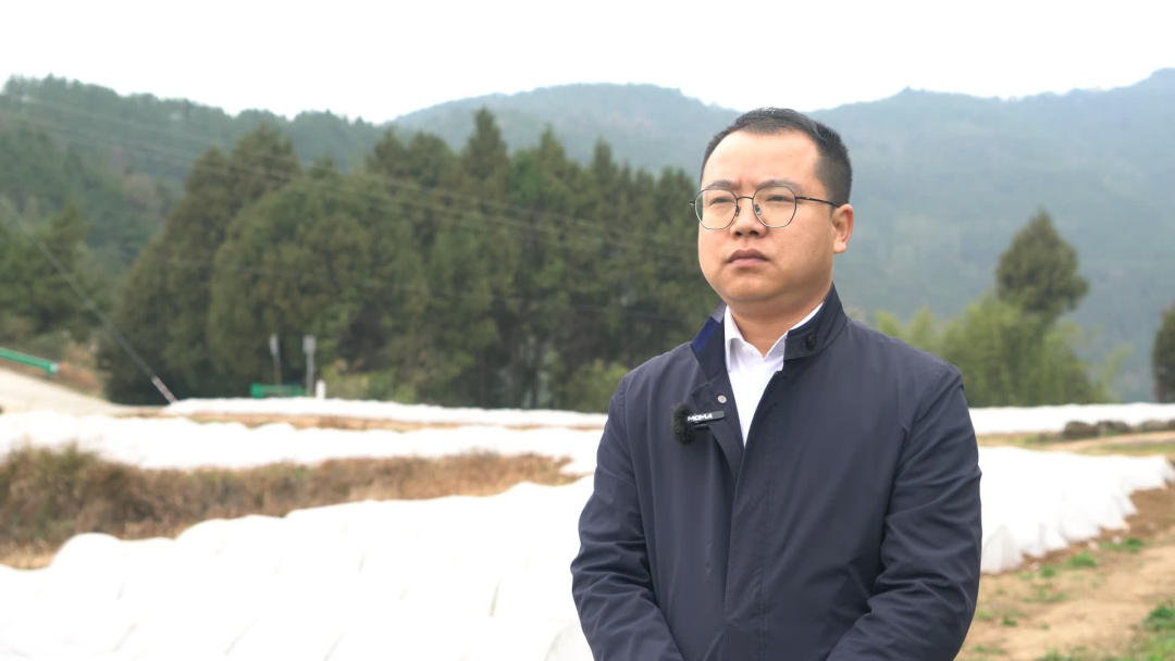 【贯彻落实全会精神】实施“三年行动”·奔跑2023⑫上八庙镇