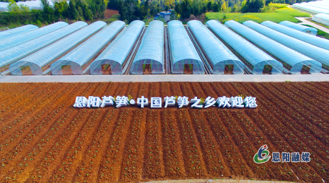 微信图片_20230328193017.png