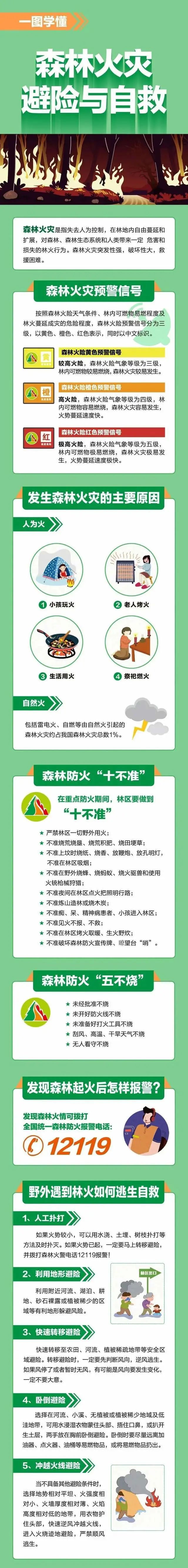 应急科普 | 这些森林火灾避险与自救知识你一定要知道