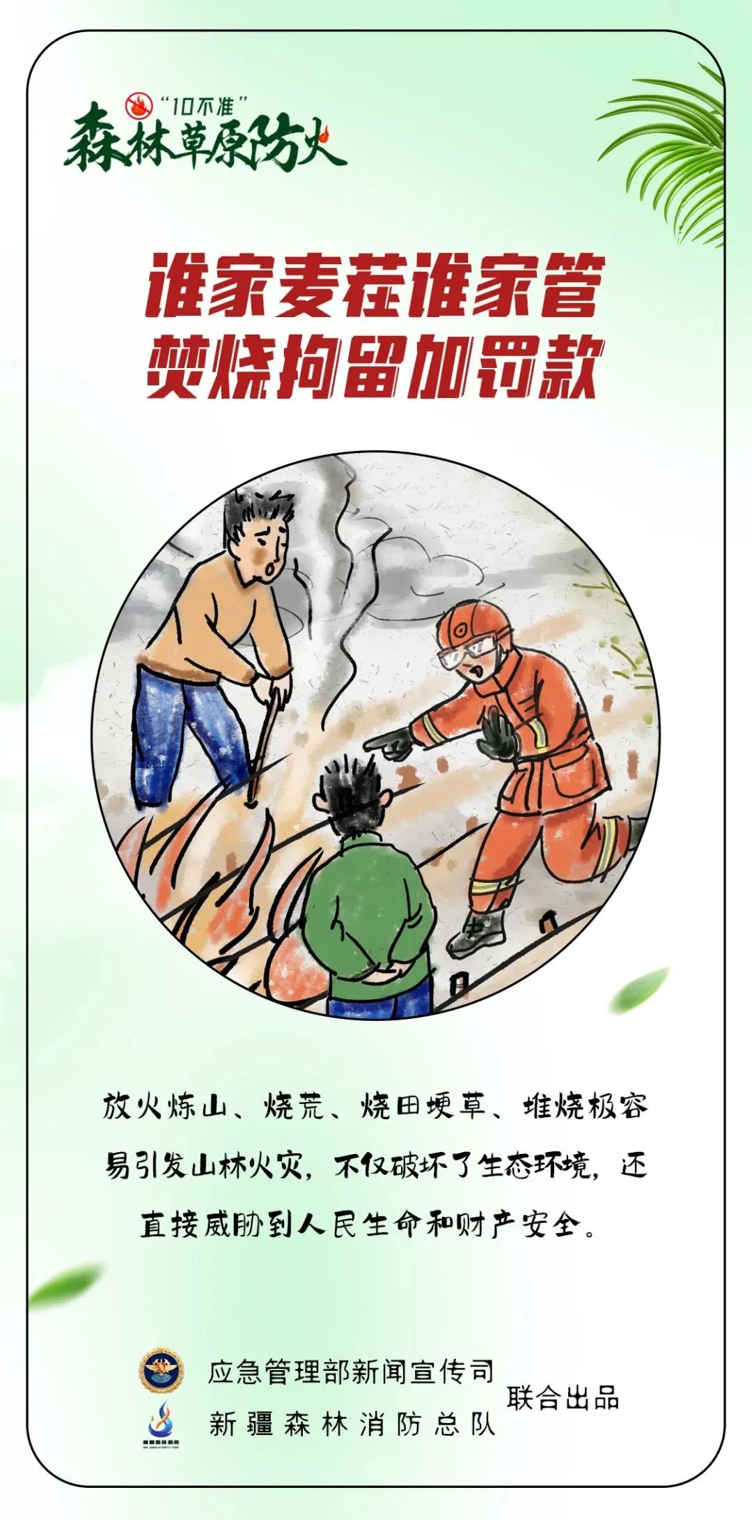 应急科普｜森林草原防火“10不准”