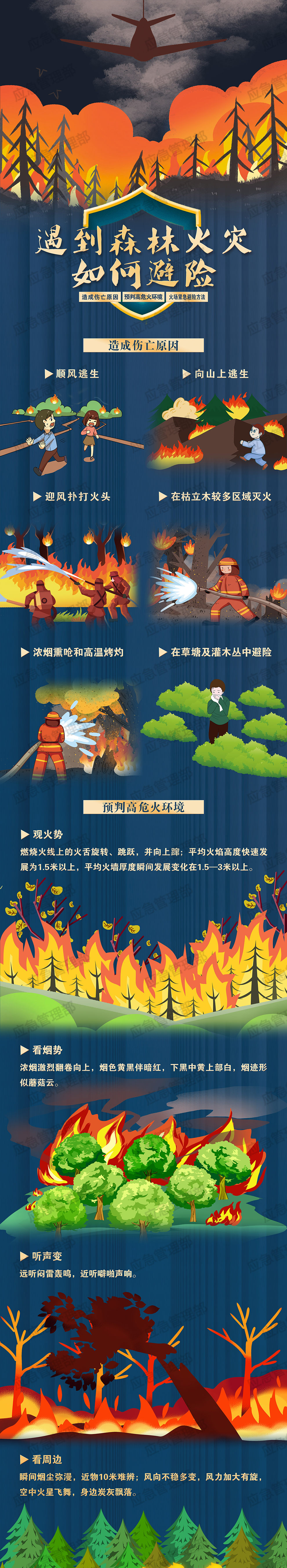 应急科普 | 遇到森林火灾如何避险？