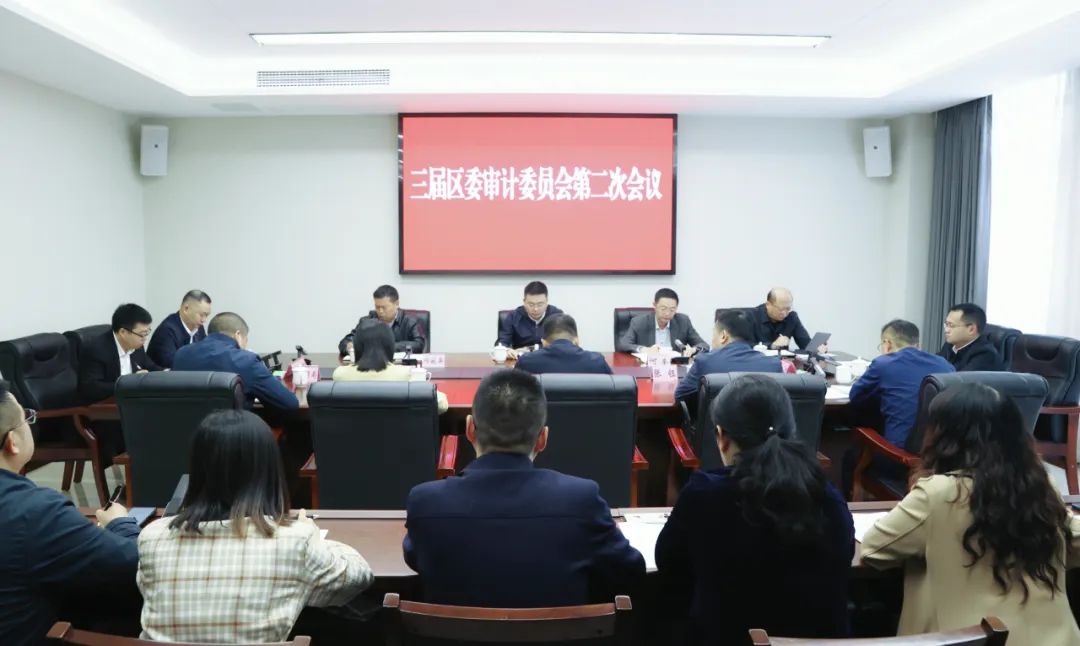 杨波主持召开三届区委审计委员会第二次会议