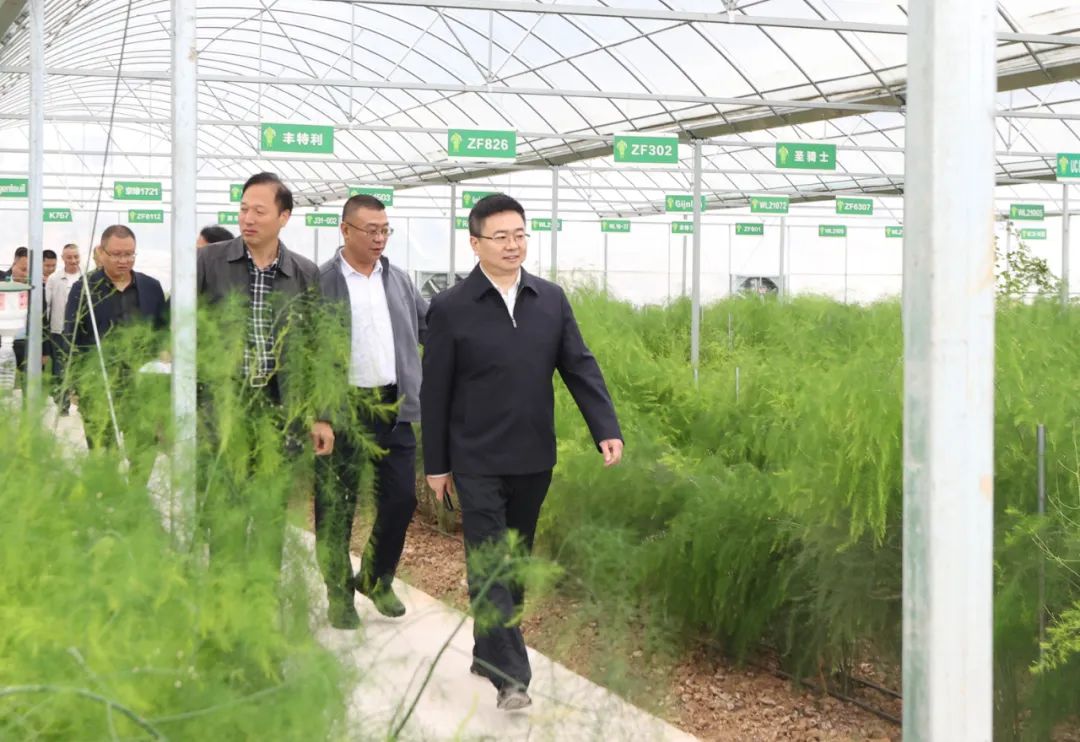 杨波调研宜居宜业和美乡村建设工作