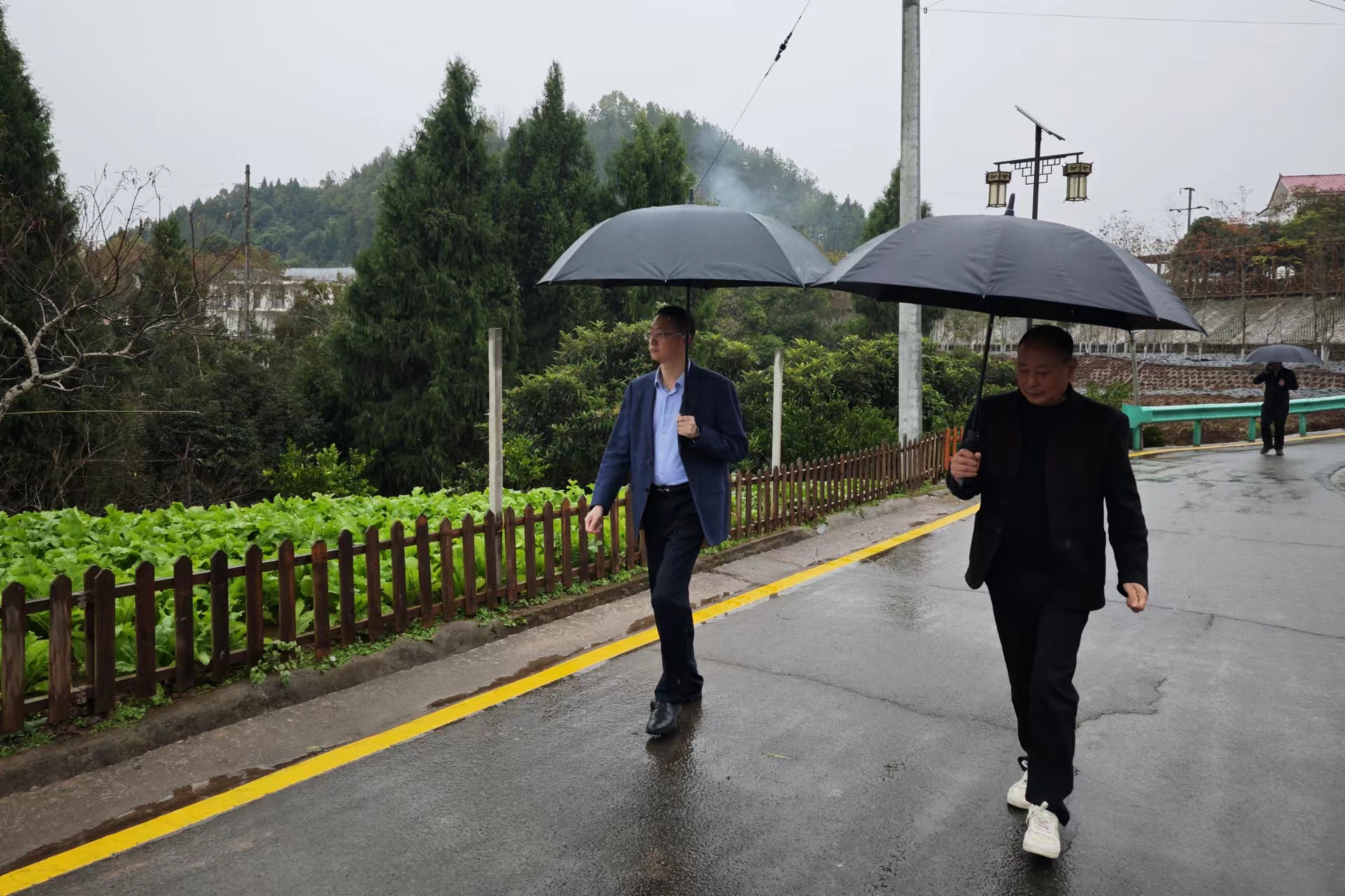 何奎调研督导巩固拓展脱贫攻坚成果同乡村振兴有效衔接、耕地“进出平衡”工作