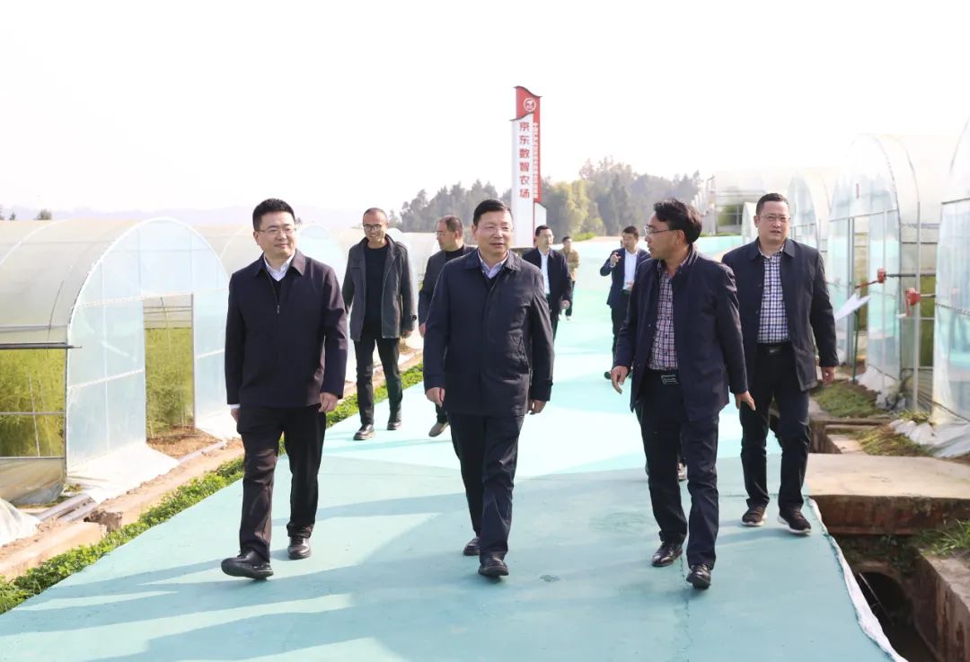 省交通运输厅公路局局长屈洪斌来恩调研公路规划和建设工作 杨波陪同