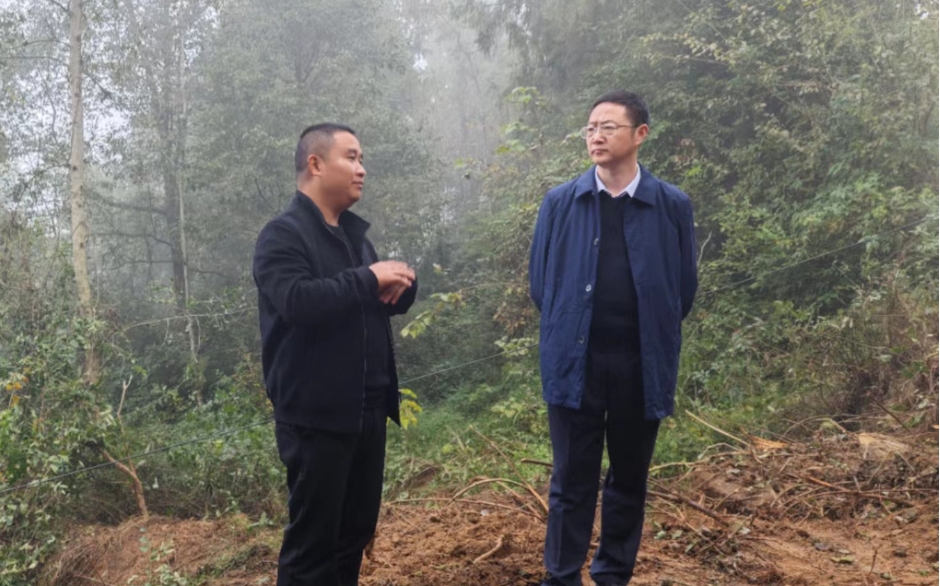 何奎暗访督导耕地“进出平衡”恢复工作