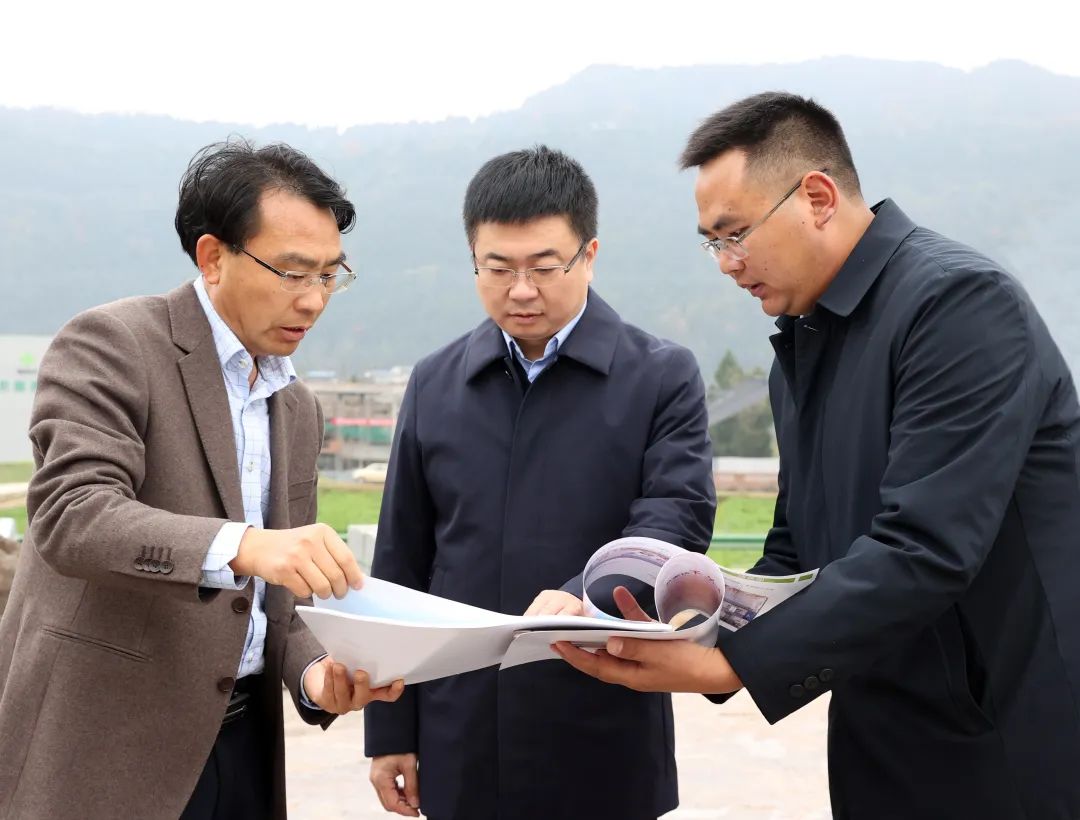 杨波调研主题教育、省委十二届四次全会精神学习贯彻、安全生产暨重点项目建设工作