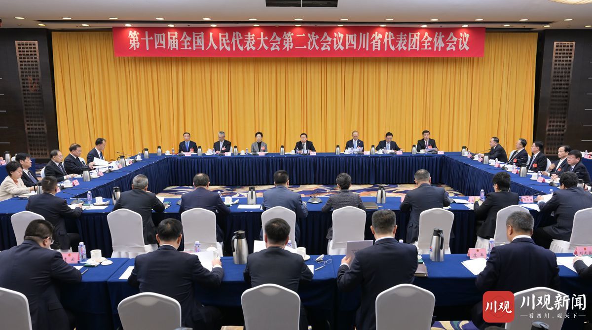 四川代表团举行全体会议 讨论通过代表团全团建议 王晓晖主持 黄强施小琳出席