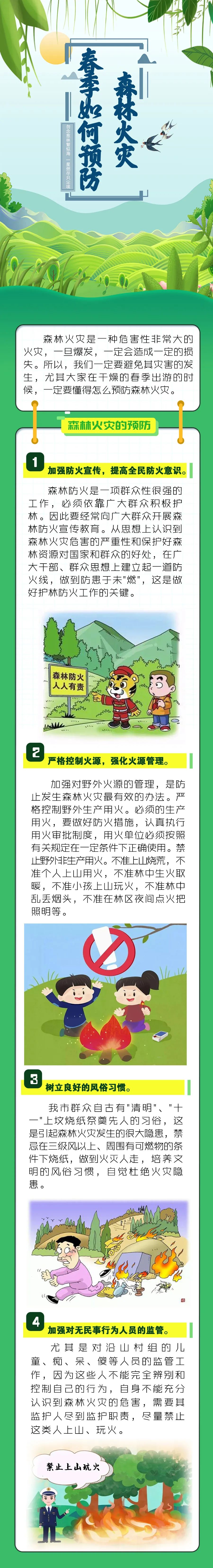 春季森林防火知识，学起来