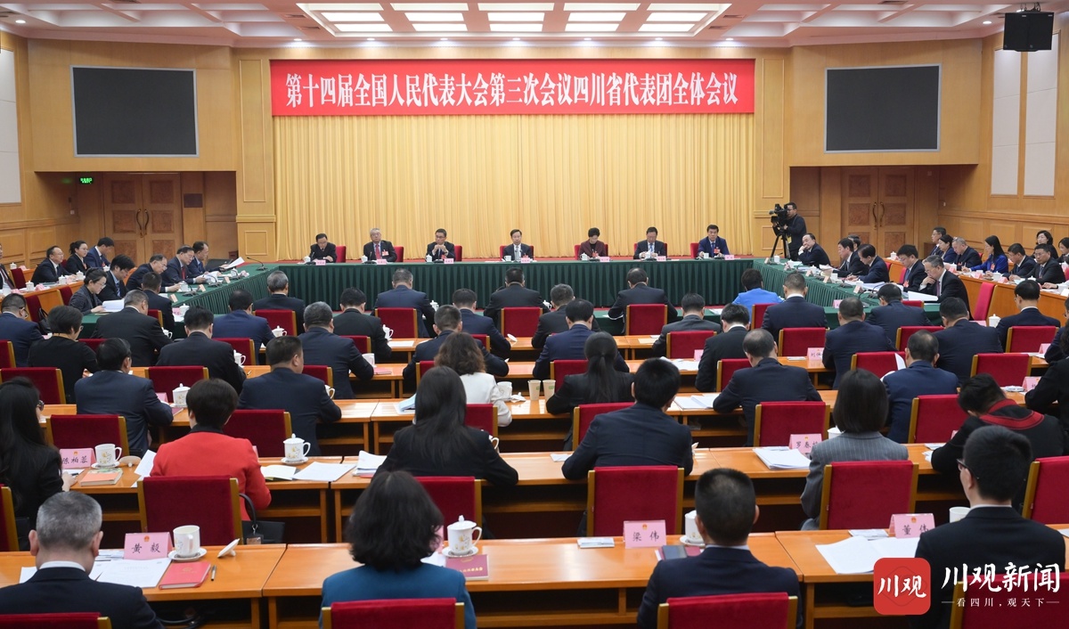 四川代表团举行全体会议 继续审议全国人大常委会工作报告和“两高”工作报告 王晓晖施小琳等参加