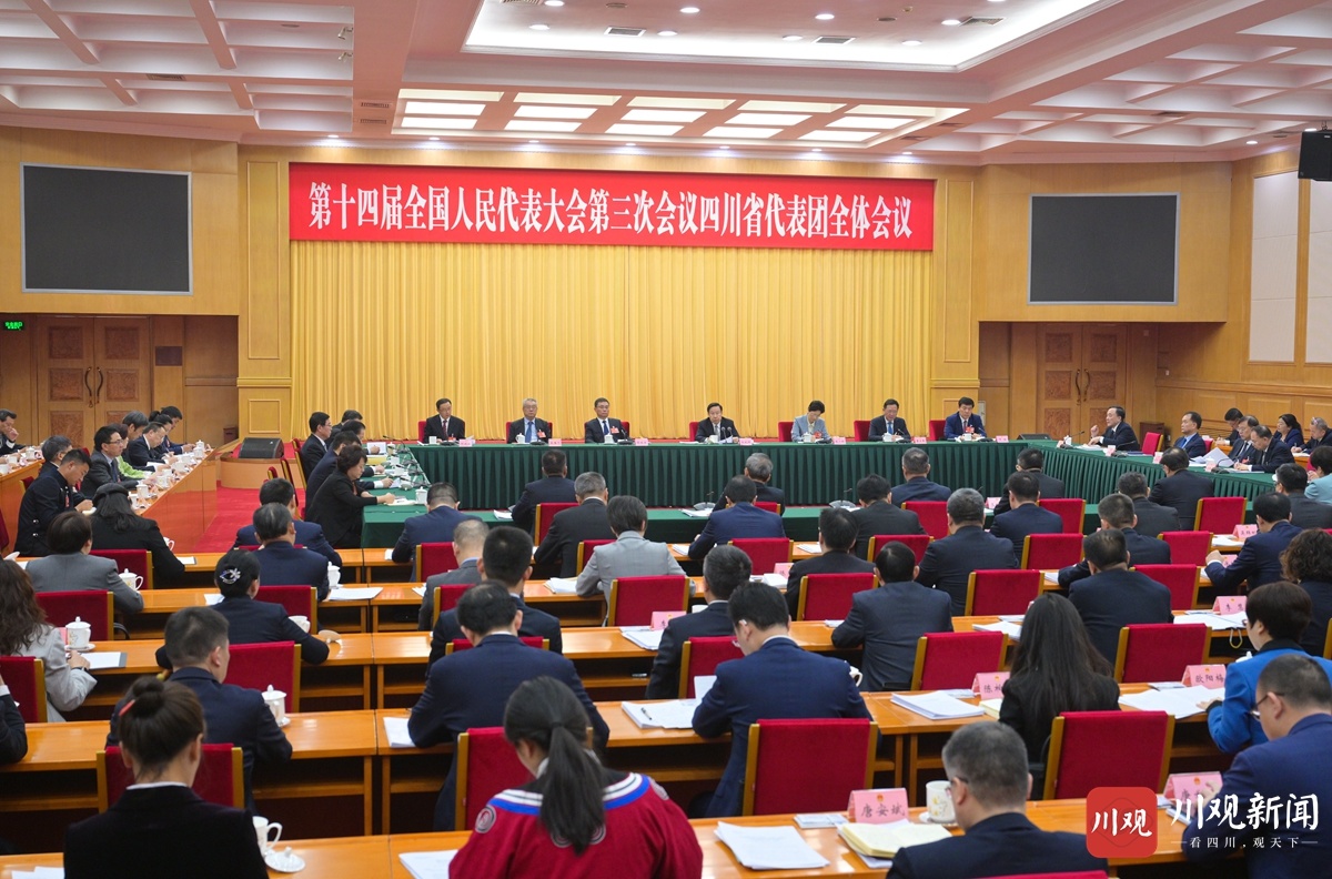 四川代表团举行全体会议 审议大会有关决议草案 王晓晖主持并讲话 施小琳参加
