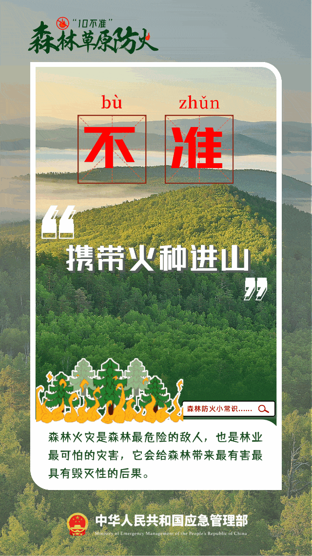 【应急科普】森林防灭火，防患未“燃”！