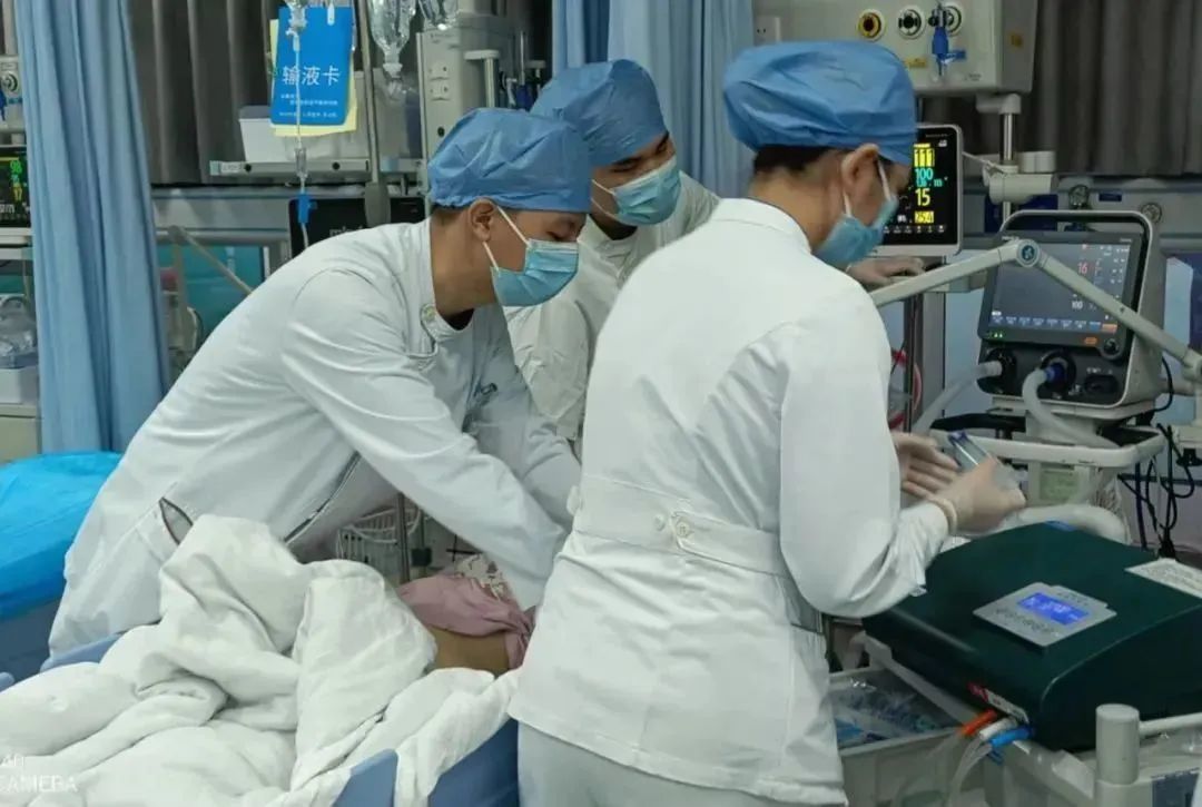 一家6口全部中毒，2人进ICU！这种“野菜”千万别采